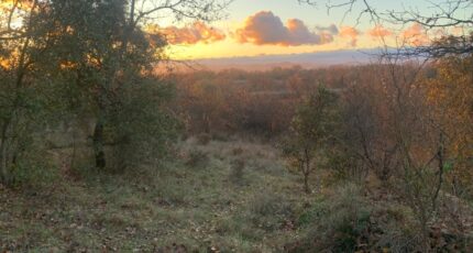 Barjac Maison neuve - 2241879-11001annonce220250807SiZFG.jpeg Maisons France Confort