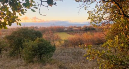 Barjac Maison neuve - 2241820-11001annonce120250807qfWWR.jpeg Maisons France Confort