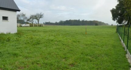 Saint-Nicolas-de-la-Haie Terrain à bâtir - 2341928-1887annonce220251118T3HJh.jpeg Maisons France Confort