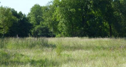 Le Barp Terrain à bâtir - 2342015-11358annonce120251118Tnz2k.jpeg Maisons France Confort