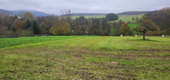 Terrain à bâtir à Rœschwoog, Grand Est