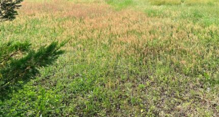 Gujan-Mestras Maison neuve - 2341972-11279annonce120251118pfJzm.jpeg Maisons France Confort