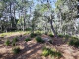Terrain à bâtir à Vidauban (83550) 2342069-11039annonce220251118sWRLp.jpeg Maisons France Confort