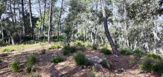 Terrain à bâtir à , Var