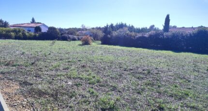 Garéoult Terrain à bâtir - 2342030-11039annonce2202511187l9eT.jpeg Maisons France Confort