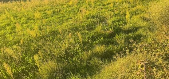 Terrain à bâtir à , Bouches-du-Rhône