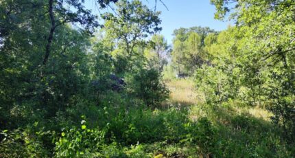 Néoules Terrain à bâtir - 2342206-11039annonce220251118GTaGQ.jpeg Maisons France Confort