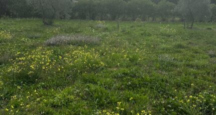 Saint-Cannat Maison neuve - 2302387-7054annonce220251012XPA4W.jpeg Maisons France Confort