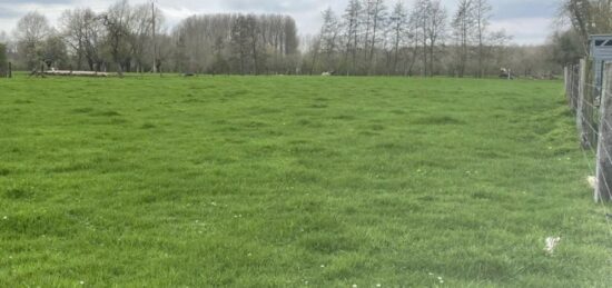 Terrain à bâtir à , Nord