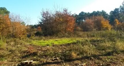 Brach Terrain à bâtir - 2343443-3957annonce120251119kNO3W.jpeg Maisons France Confort