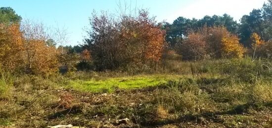 Terrain à bâtir à Brach, Nouvelle-Aquitaine