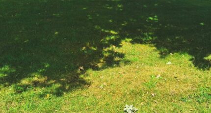 Andernos-les-Bains Terrain à bâtir - 2343445-3957annonce120251119glVTJ.jpeg Maisons France Confort