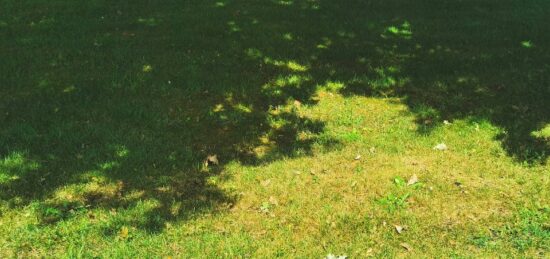 Terrain à bâtir à Andernos-les-Bains, Nouvelle-Aquitaine