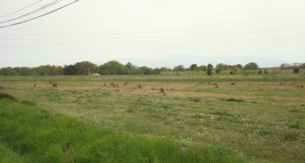 Perpignan Terrain à bâtir - 2267387-666annonce120250911rNrBn.jpeg Maisons France Confort