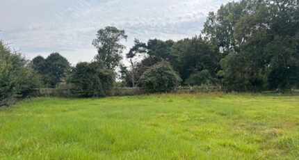 Bazenville Maison neuve - 2301381-11660annonce120251010JXRME.jpeg Maisons France Confort