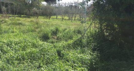 Salon-de-Provence Terrain à bâtir - 2310788-3969annonce220251020WICEi.jpeg Maisons France Confort