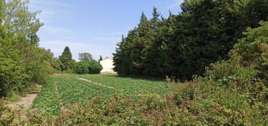 Terrain à bâtir à , Bouches-du-Rhône