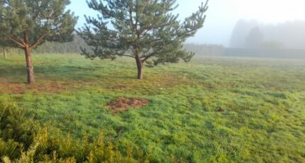 Couzeix Maison neuve - 2344175-3291annonce220251120vKztf.jpeg Maisons France Confort