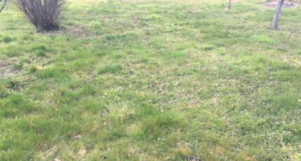 Treffort-Cuisiat Maison neuve - 2344118-754annonce120251120rTm64.jpeg Maisons France Confort