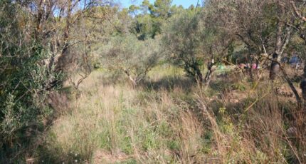 Carnoules Maison neuve - 2344215-5922annonce120251120bJl2O.jpeg Maisons France Confort