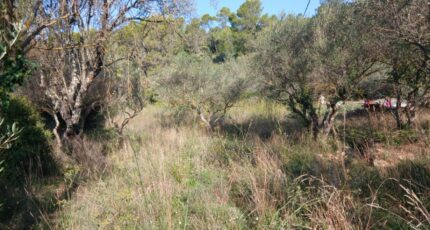 Carnoules Maison neuve - 2344215-5922annonce220251120UmTR9.jpeg Maisons France Confort