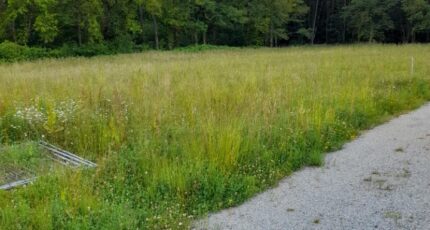 Saint-Priest-sous-Aixe Maison neuve - 2344206-3291annonce120251120xyqH7.jpeg Maisons France Confort