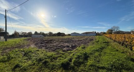 Cussac-Fort-Médoc Maison neuve - 2344677-10624annonce120251120lJqN8.jpeg Maisons France Confort