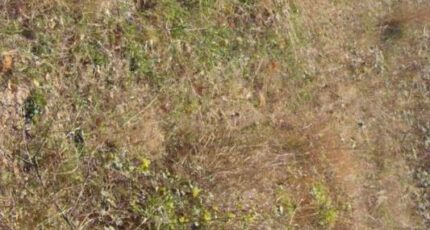 Cahors Maison neuve - 2277463-annonceTerrain-20251118111000.JPEG Maisons France Confort