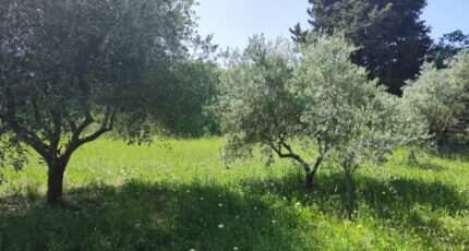 Brignoles Terrain à bâtir - 2345478-11039annonce220251121V60UV.jpeg Maisons France Confort