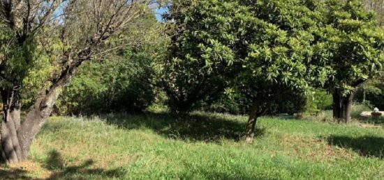 Terrain à bâtir à Brignoles, Provence-Alpes-Côte d'Azur