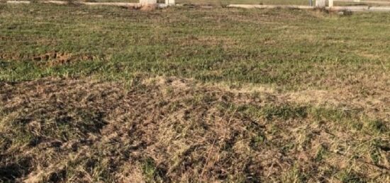 Terrain à bâtir à Brignoles, Provence-Alpes-Côte d'Azur