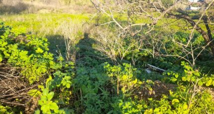 Solliès-Pont Terrain à bâtir - 2345514-4866annonce120251121ZDLOW.jpeg Maisons France Confort