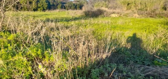 Terrain à bâtir à Puget-Ville, Provence-Alpes-Côte d'Azur