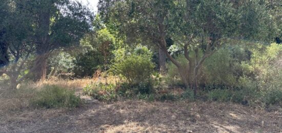 Terrain à bâtir à , Var