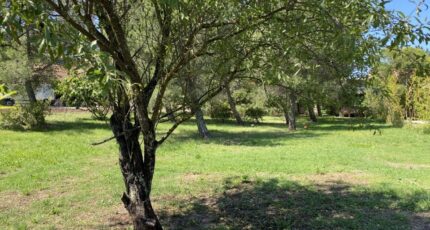 Gonfaron Terrain à bâtir - 2301325-4590annonce120251010BFuJf.jpeg Maisons France Confort