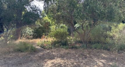 Le Pradet Maison neuve - 2301511-4590annonce220251010HnKau.jpeg Maisons France Confort