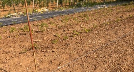 Créon Terrain à bâtir - 2346369-3601annonce120251122eTW0a.jpeg Maisons France Confort