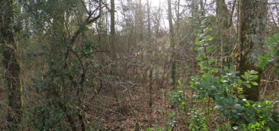 Terrain à bâtir à La Brède, Nouvelle-Aquitaine