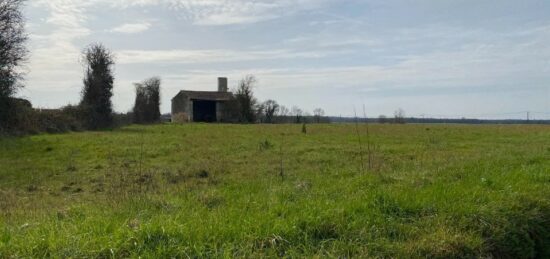 Terrain à bâtir à Plassay, Nouvelle-Aquitaine