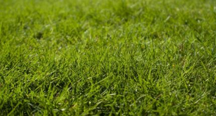 Pont-l'Évêque Maison neuve - 2346480-11227annonce120251118UTrfC.jpeg Maisons France Confort