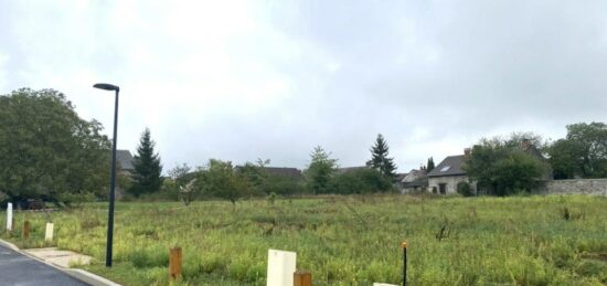 Terrain à bâtir à Saint-Vrain, Île-de-France