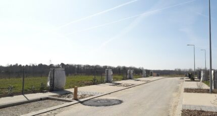 Bruyères-le-Châtel Terrain à bâtir - 2270654-6178annonce320250914friM5.jpeg Maisons France Confort