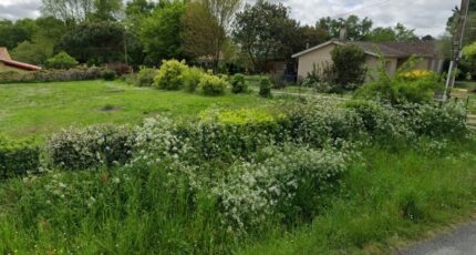 La Lande-de-Fronsac Terrain à bâtir - 2346665-11687annonce320251122k9uVe.jpeg Maisons France Confort