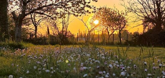 Terrain à bâtir à , Gironde