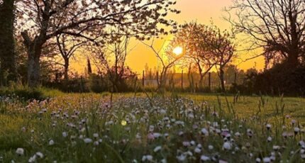 Cézac Maison neuve - 2347108-11687annonce220251124ukxCi.jpeg Maisons France Confort