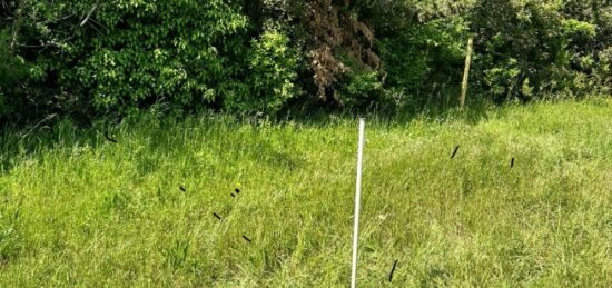 Terrain à bâtir à , Var