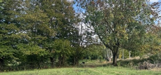 Terrain à bâtir à Ennevelin, Hauts-de-France