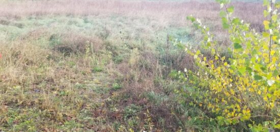 Terrain à bâtir à , Gironde