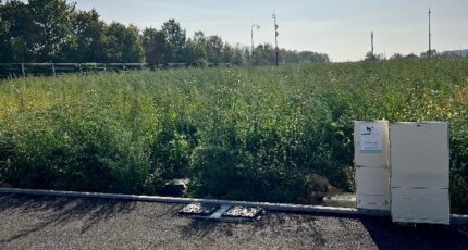 Tomblaine Maison neuve - 2347194-5138annonce120251124xVeT8.jpeg Maisons France Confort