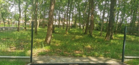 Terrain à bâtir à Audenge, Nouvelle-Aquitaine